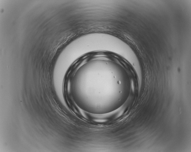 X0000056370362200508261409