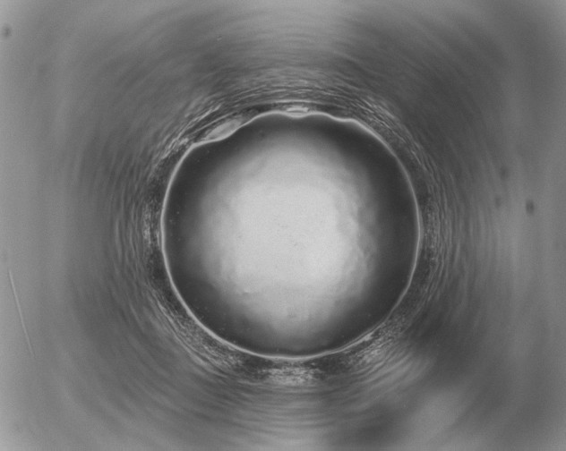 X0000056370363200508261409