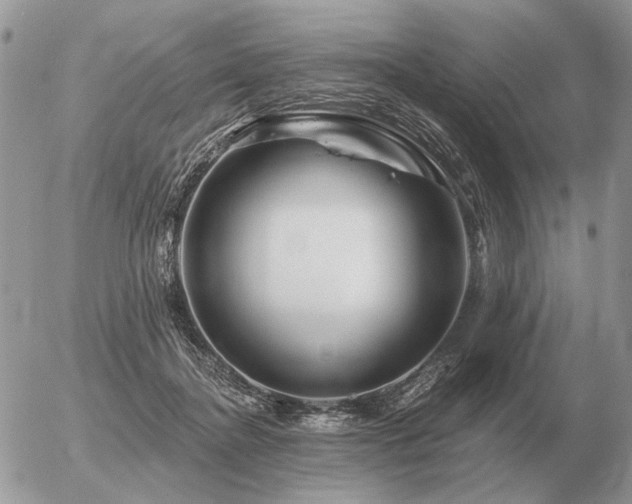 X0000056370364200508261409