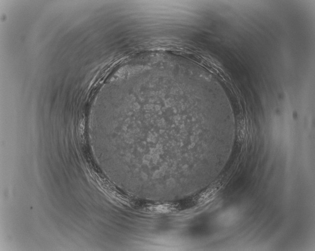 X0000056370365200508261409