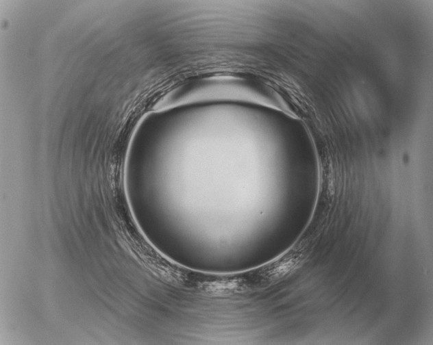 X0000056370366200508261409