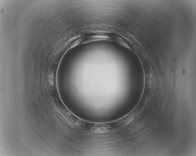 X0000056370368200508261409