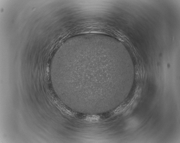 X0000056370369200508261409