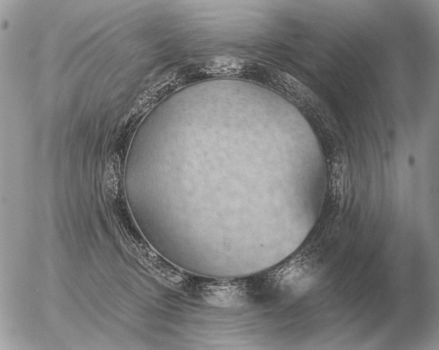 X0000056370370200508261409