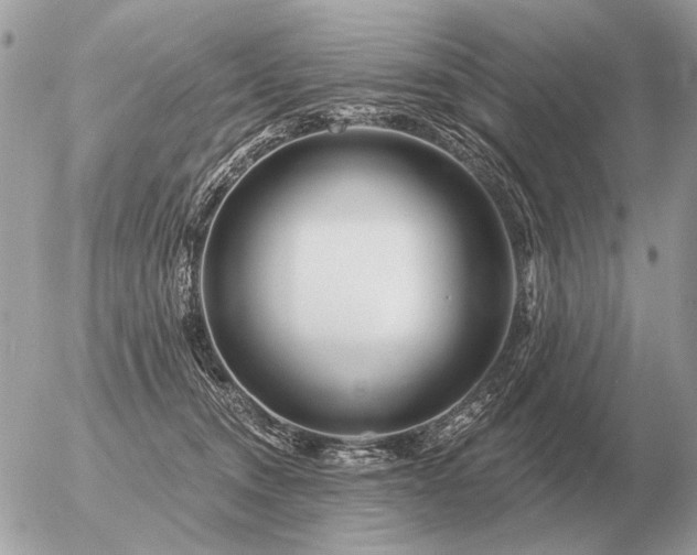 X0000056370372200508261409