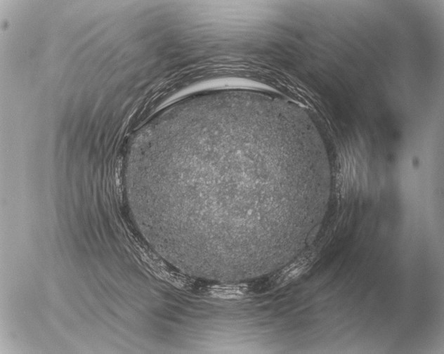 X0000056370373200508261409