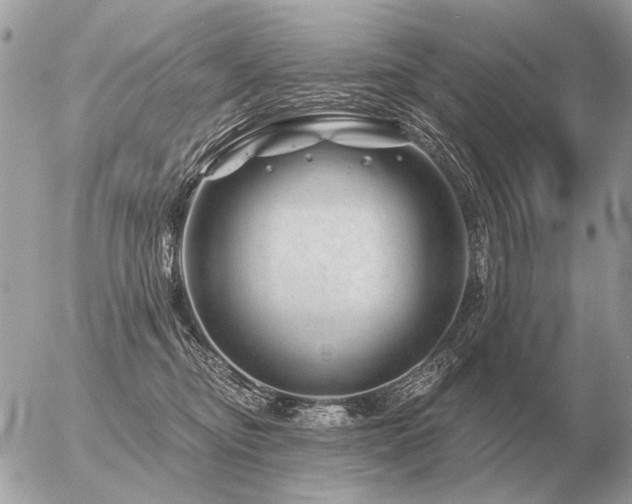 X0000056370374200508261409