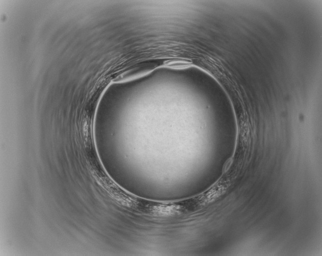 X0000056370375200508261409