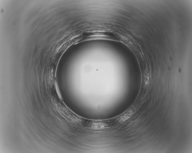 X0000056370376200508261409