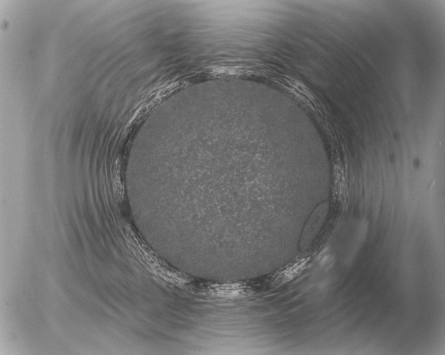 X0000056370377200508261409