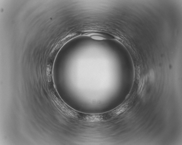 X0000056370378200508261409