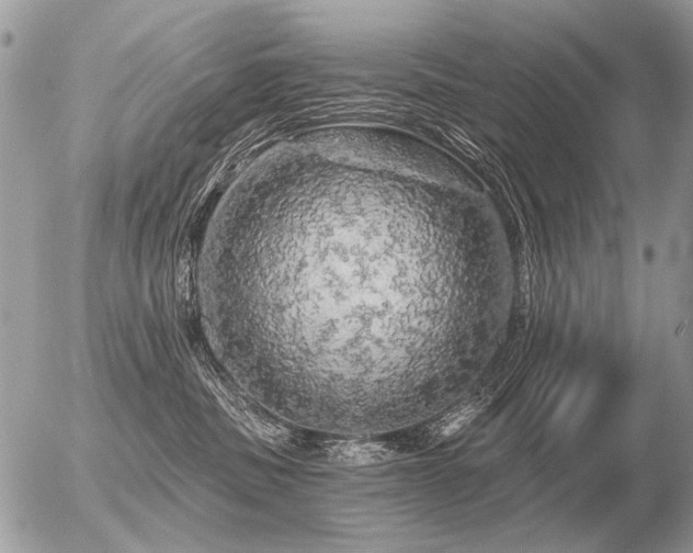 X0000056370379200508261409