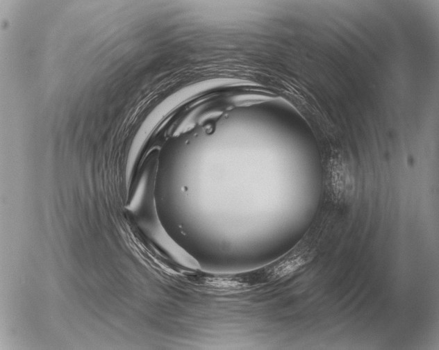 X0000056370380200508261409