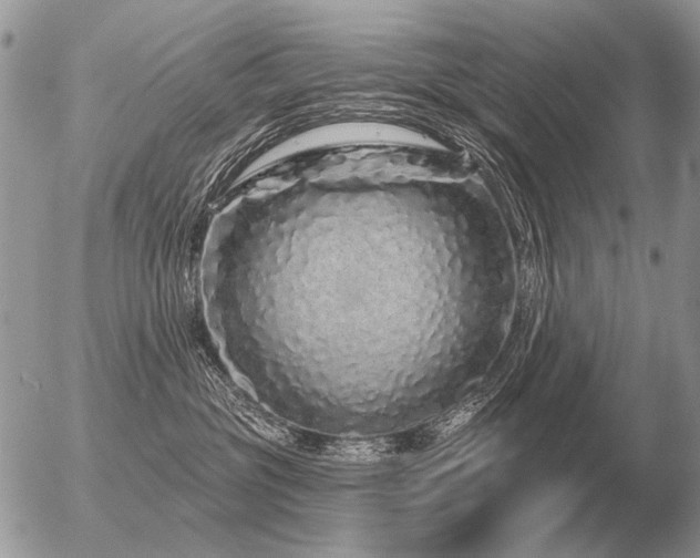 X0000056370381200508261409