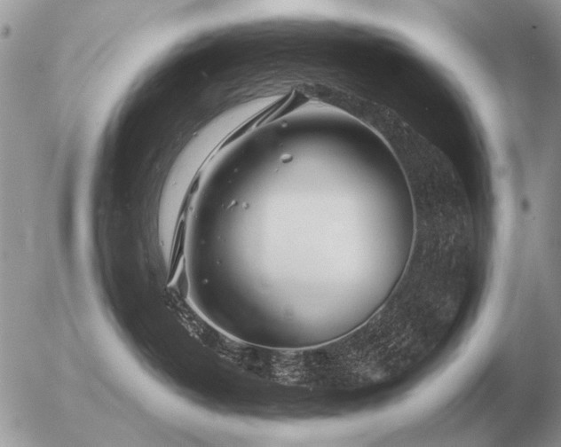 X0000056370382200508261409