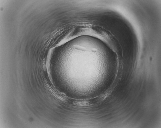 X0000056370383200508261409