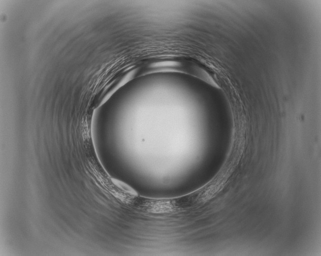 X0000056370384200508261409