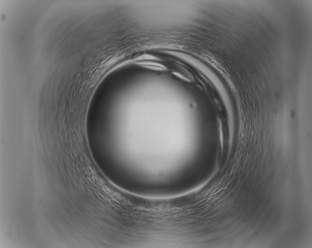 X0000056370385200508261408