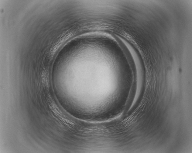 X0000056370386200508261408