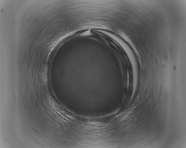 X0000056370387200508261408