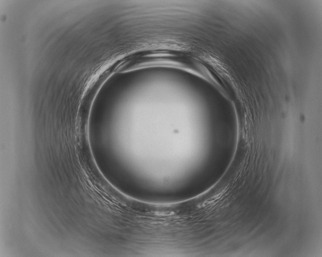 X0000056370388200508261408