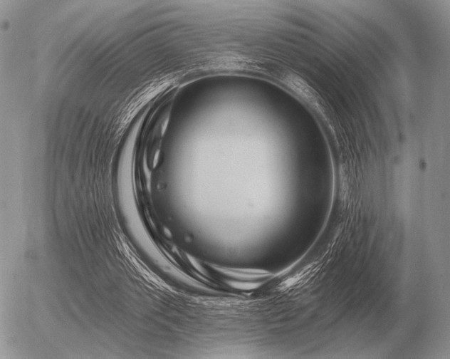 X0000056370389200508261408