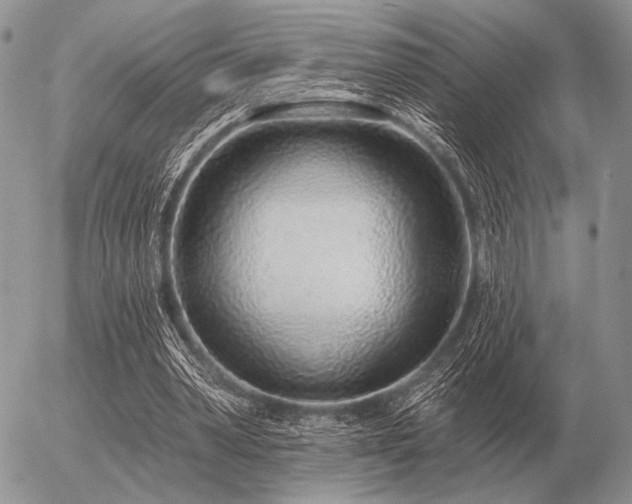 X0000056370390200508261408