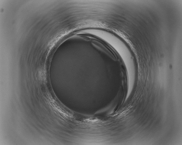 X0000056370391200508261408