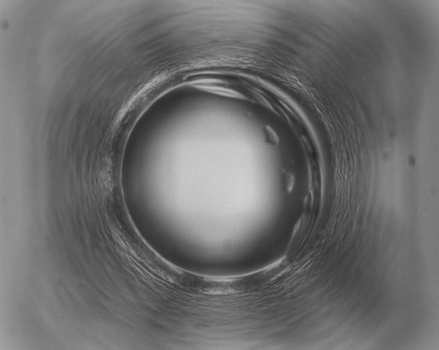 X0000056370392200508261408