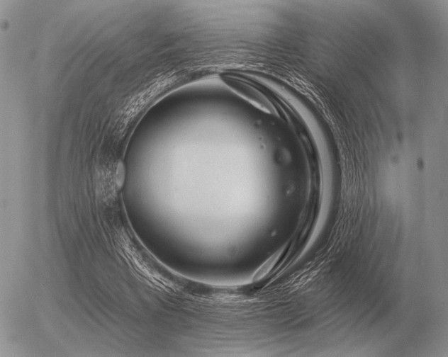 X0000056370393200508261408