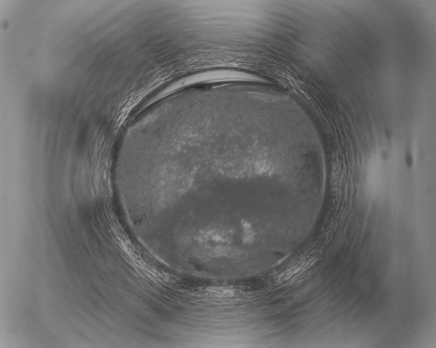 X0000056370394200508261408