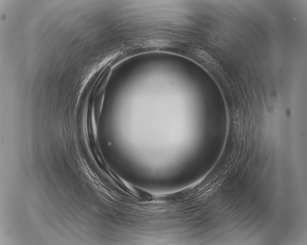 X0000056370395200508261408