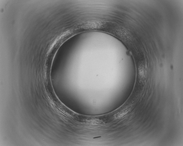 X0000056370396200508261408