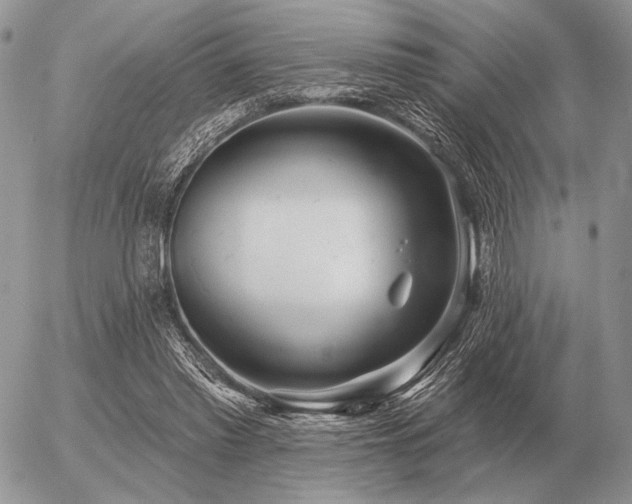 X0000056370397200508261408