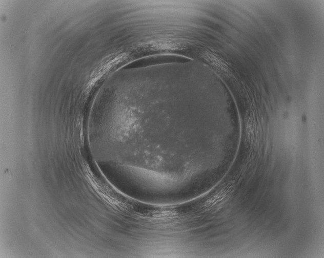 X0000056370398200508261408