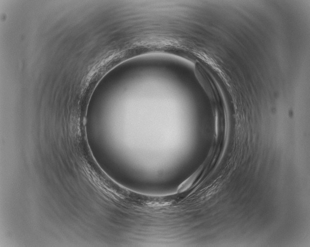 X0000056370399200508261408