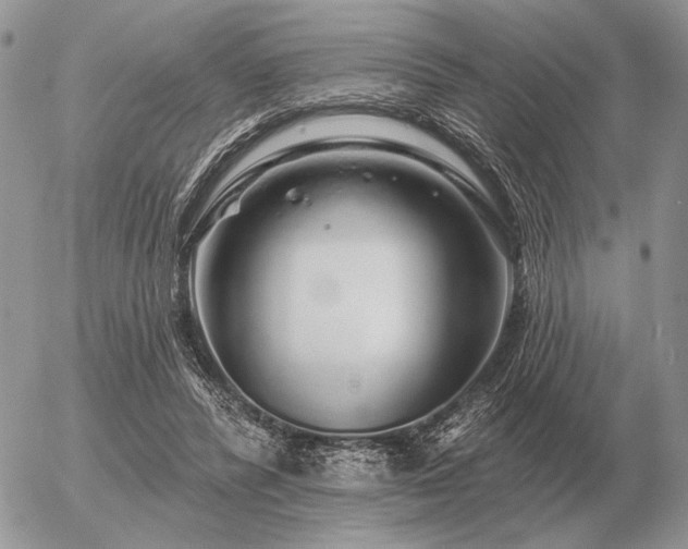 X0000056370400200508261408