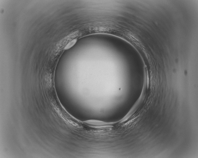 X0000056370401200508261408