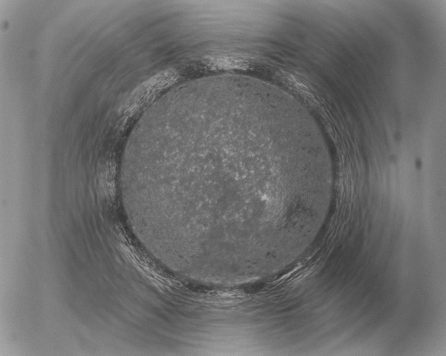 X0000056370402200508261408