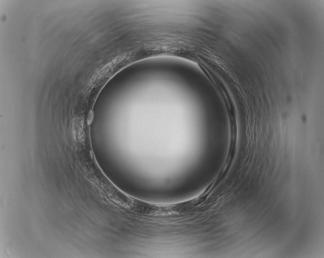 X0000056370403200508261408