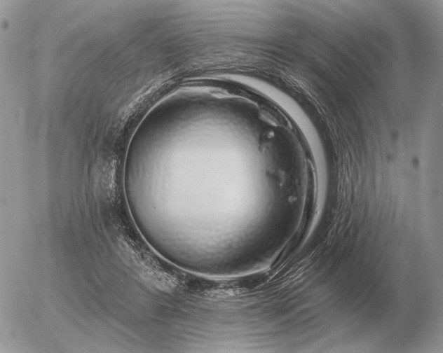 X0000056370404200508261408