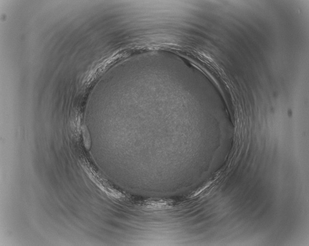 X0000056370405200508261408