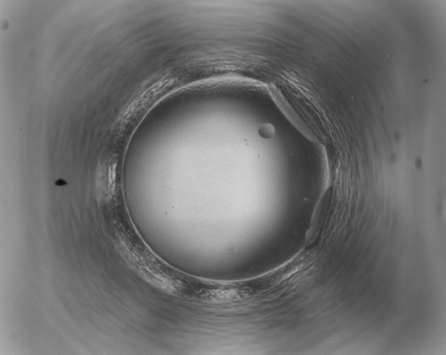 X0000056370406200508261408