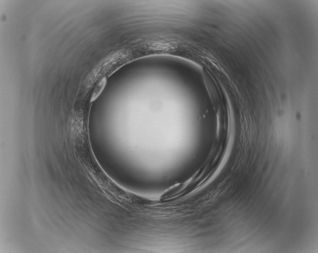 X0000056370407200508261408