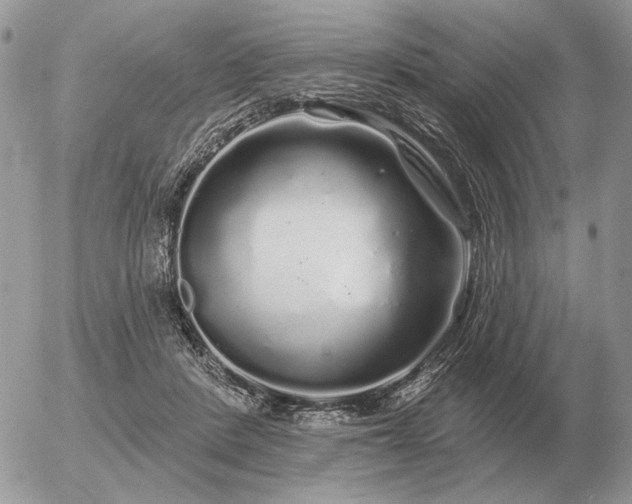 X0000056370408200508261408