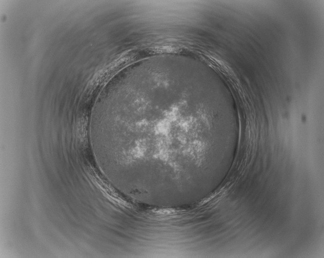 X0000056370409200508261408