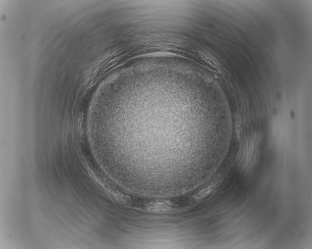 X0000056370410200508261408