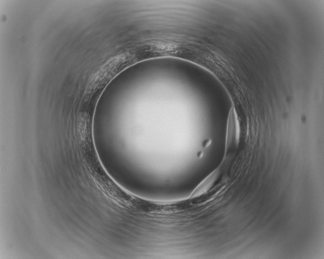 X0000056370412200508261408