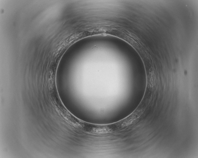 X0000056370414200508261408