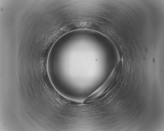 X0000056370416200508261408